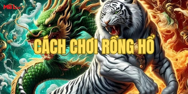 Lý do cần áp dụng cách chơi rồng hổ